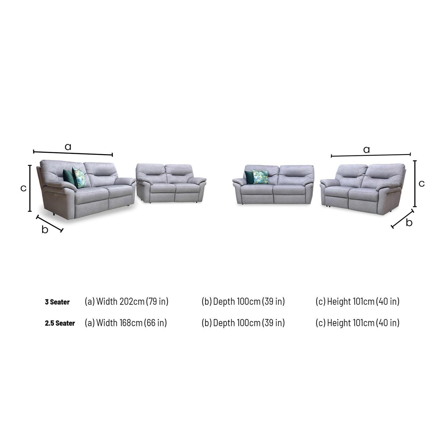 Dimensions diagram: 3-seater (202cm W x 100cm D x 101cm H) and 2.5-seater (168cm W x 100cm D x 101cm H).