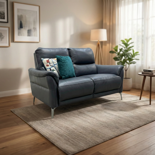 Livng Room view of the Daytona leather 2-seater sofa showing the deep seating and contemporary slim armrests.