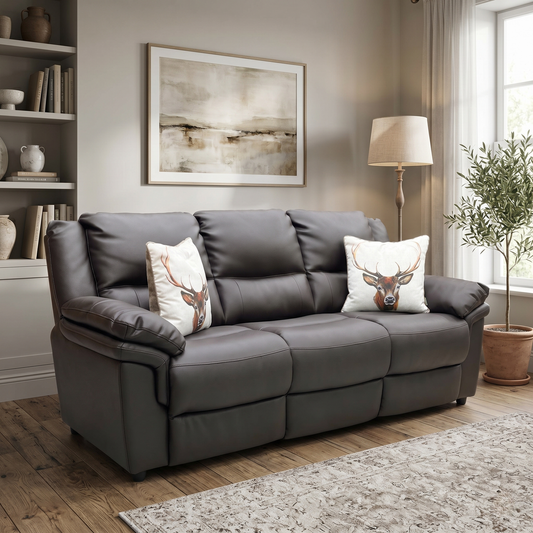 Living room view for the Albion 3-seater sofa, highlighting its durable chocolate faux leather upholstery, pocket-sprung comfort cushioning, and sturdy internal frame construction.