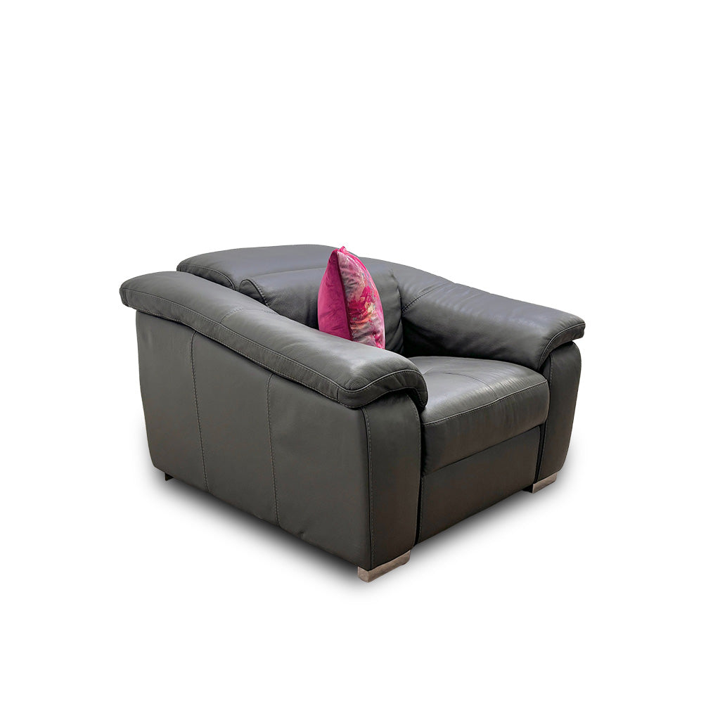 Nicoletti 'Galileo’ Torello Grigio Scuro 327 Ch Leather Armchair