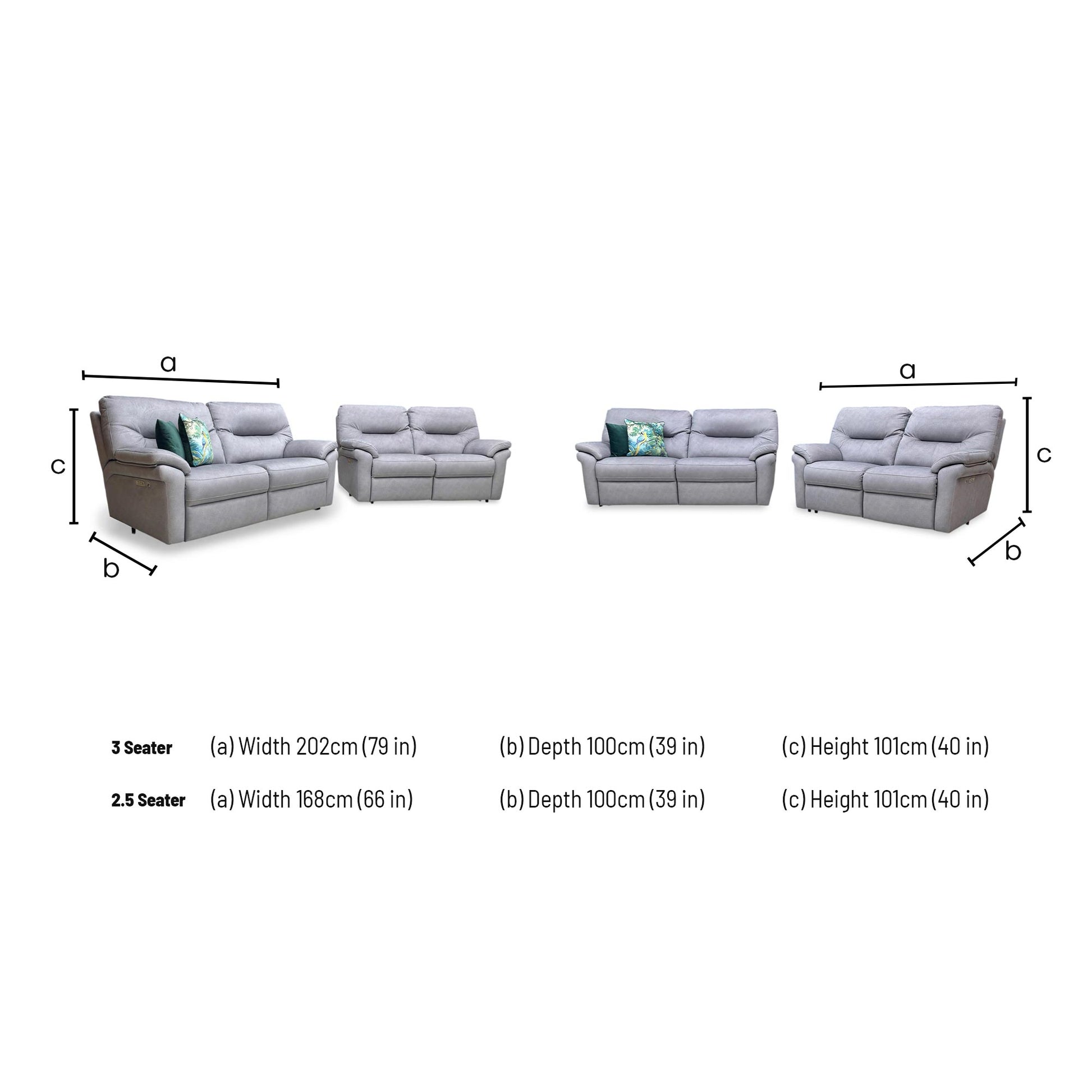 Dimensions diagram: 3-seater (202cm W x 100cm D x 101cm H) and 2.5-seater (168cm W x 100cm D x 101cm H).