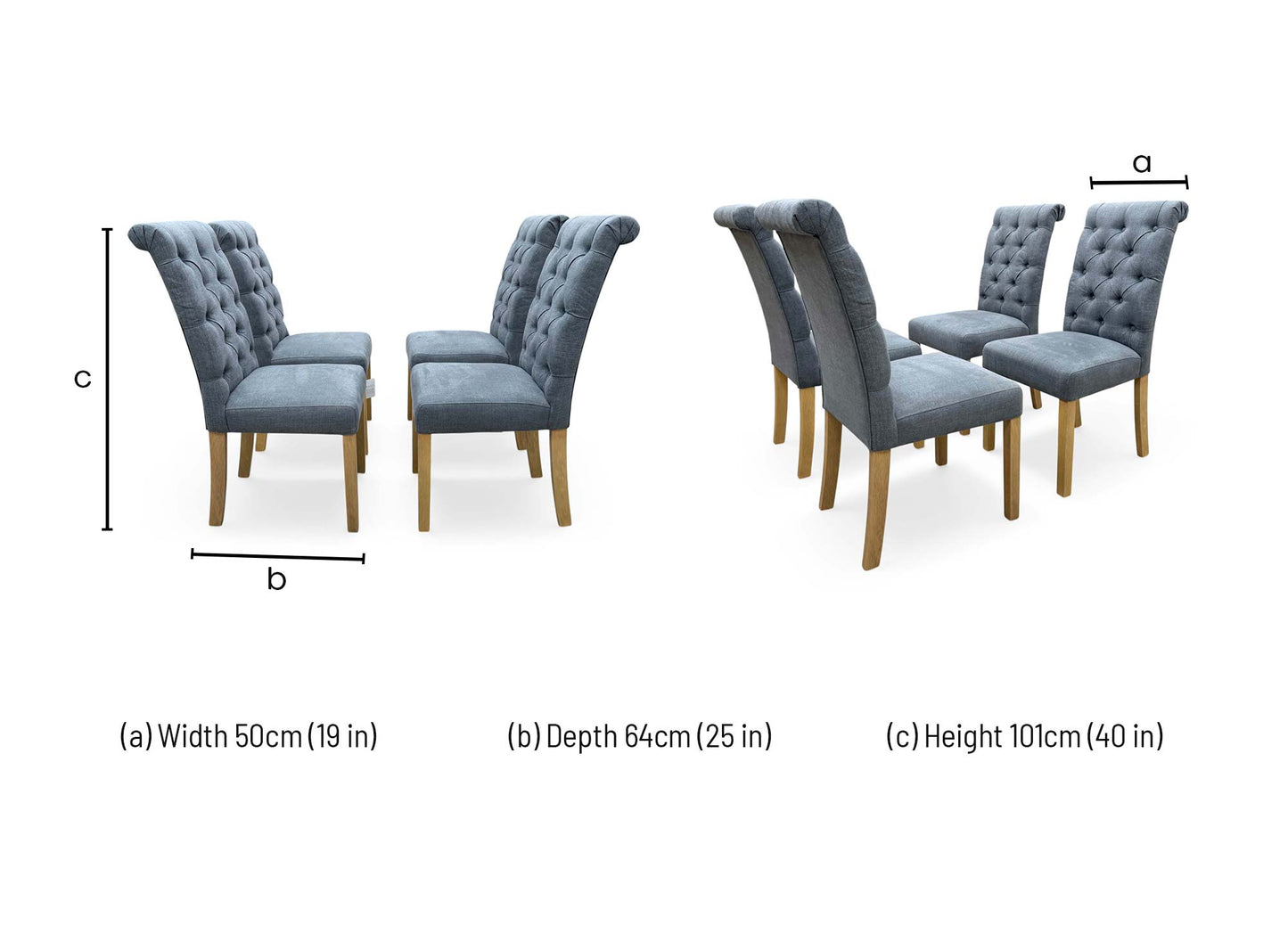 Dimensions diagram for the Hamilton dining chair: 50cm width, 64cm depth, and 101cm height.