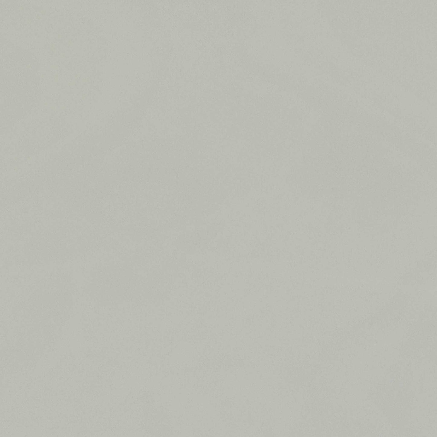 High-definition close-up shot of the unique cashmere-colored surface, detailing the premium matte finish, subtle tonal warmth, and clean seam lines.