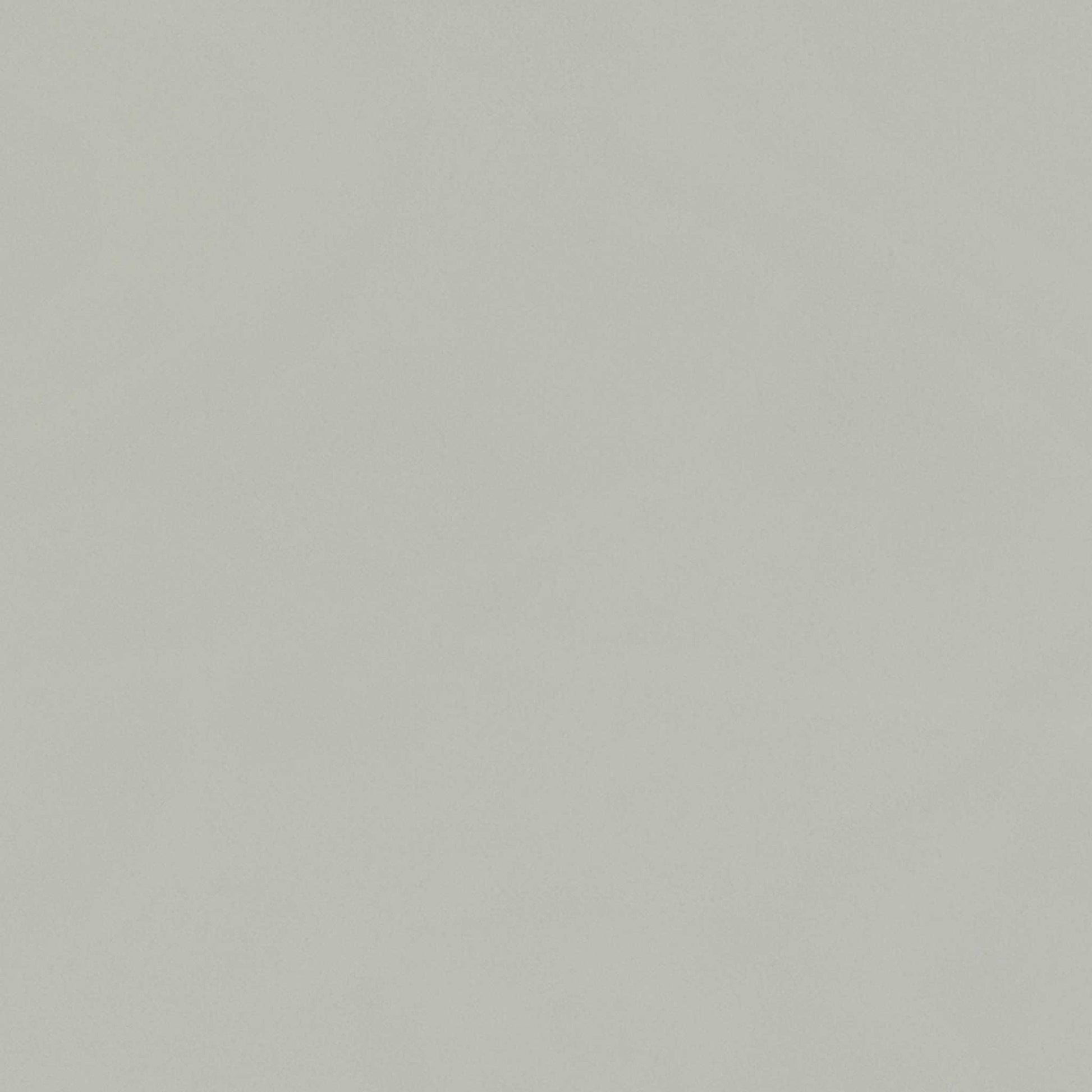 High-definition close-up shot of the unique cashmere-colored surface, detailing the premium matte finish, subtle tonal warmth, and clean seam lines.