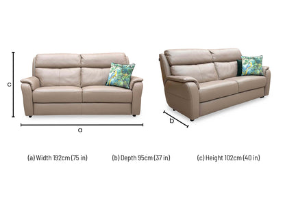 Nicoletti ‘Vito’ Botero Taupe 2152 Leather 3 Seater Sofa
