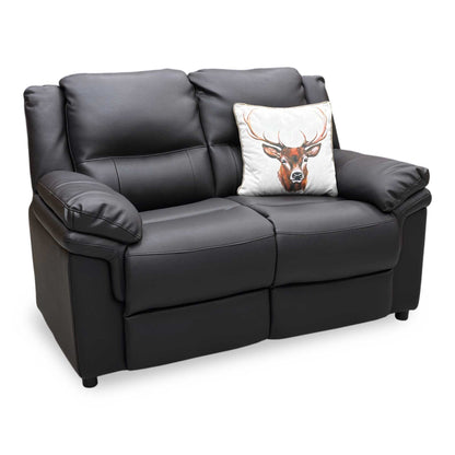 ‘Albion' Chocolate Brown Luxury Faux Leather High Back 2 Seater Sofa