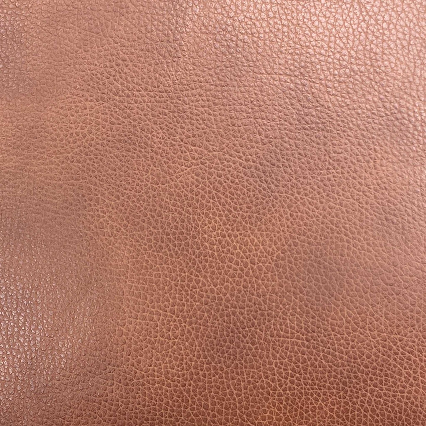 'Panache' Butterscotch Brown Cat-60_07 Leather 2 Seater Power Recliner Sofa with Power Headrests