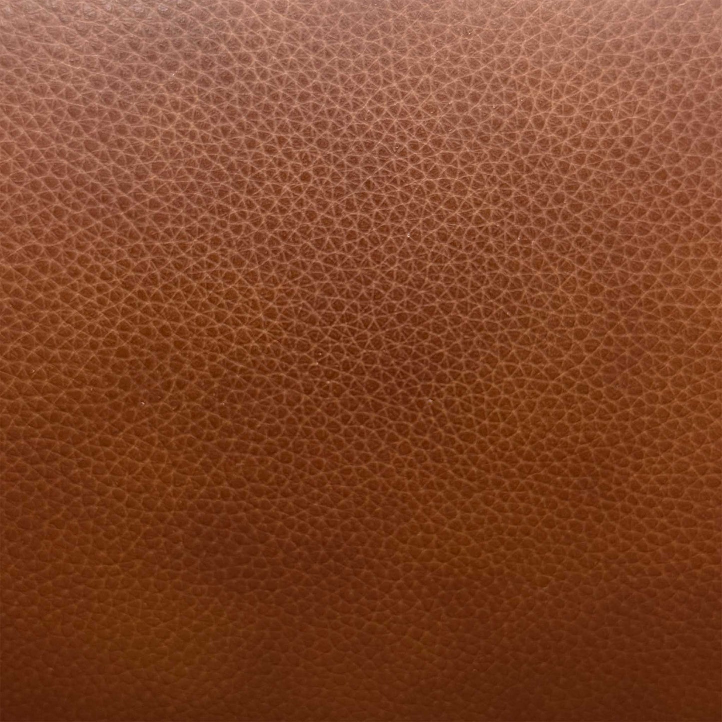 ‘Panache’ Butterscotch Brown Cat-60_07 Leather 3 Seater Power Recliner Sofa – view 8