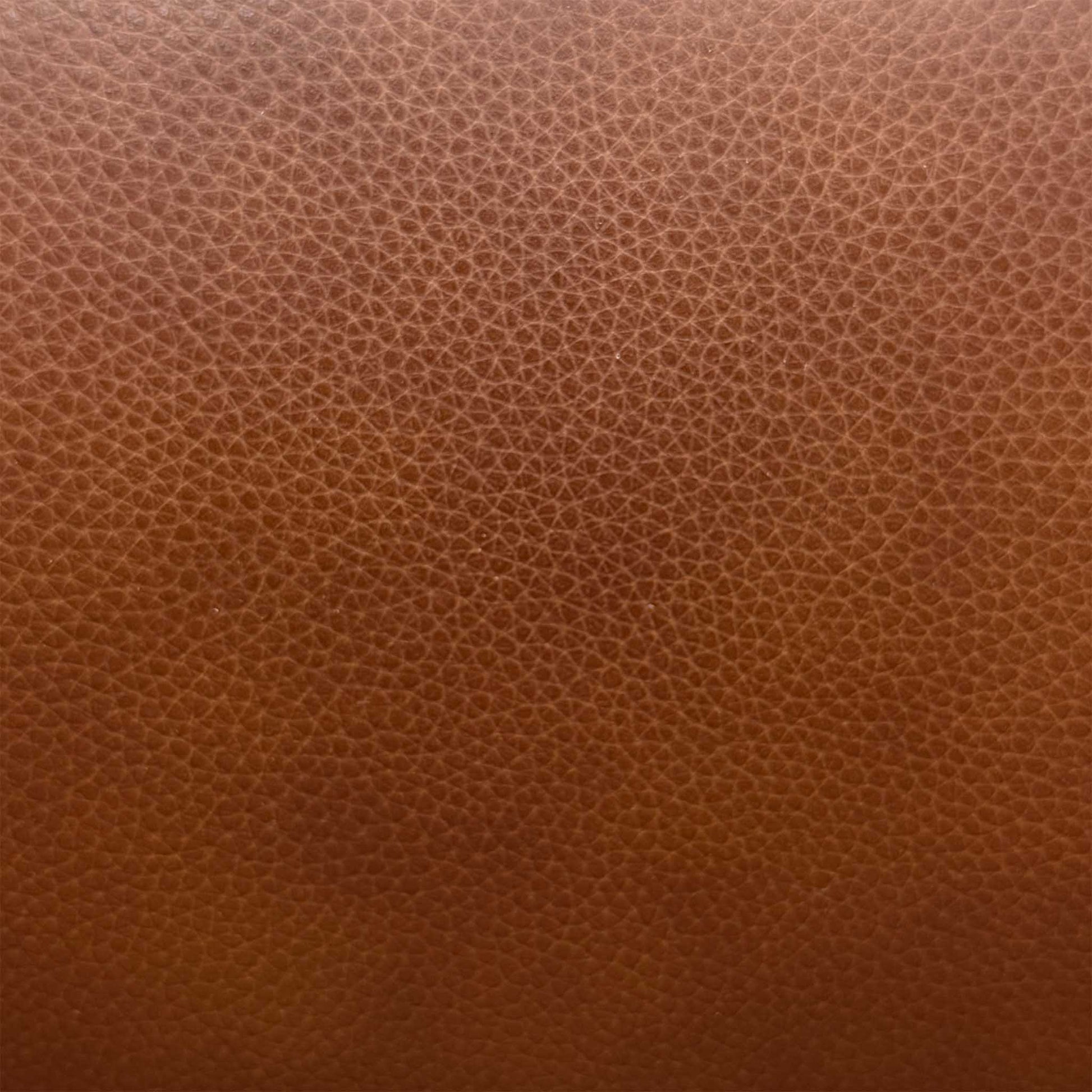 ‘Panache’ Butterscotch Brown Cat-60_07 Leather 3 Seater Power Recliner Sofa – view 8