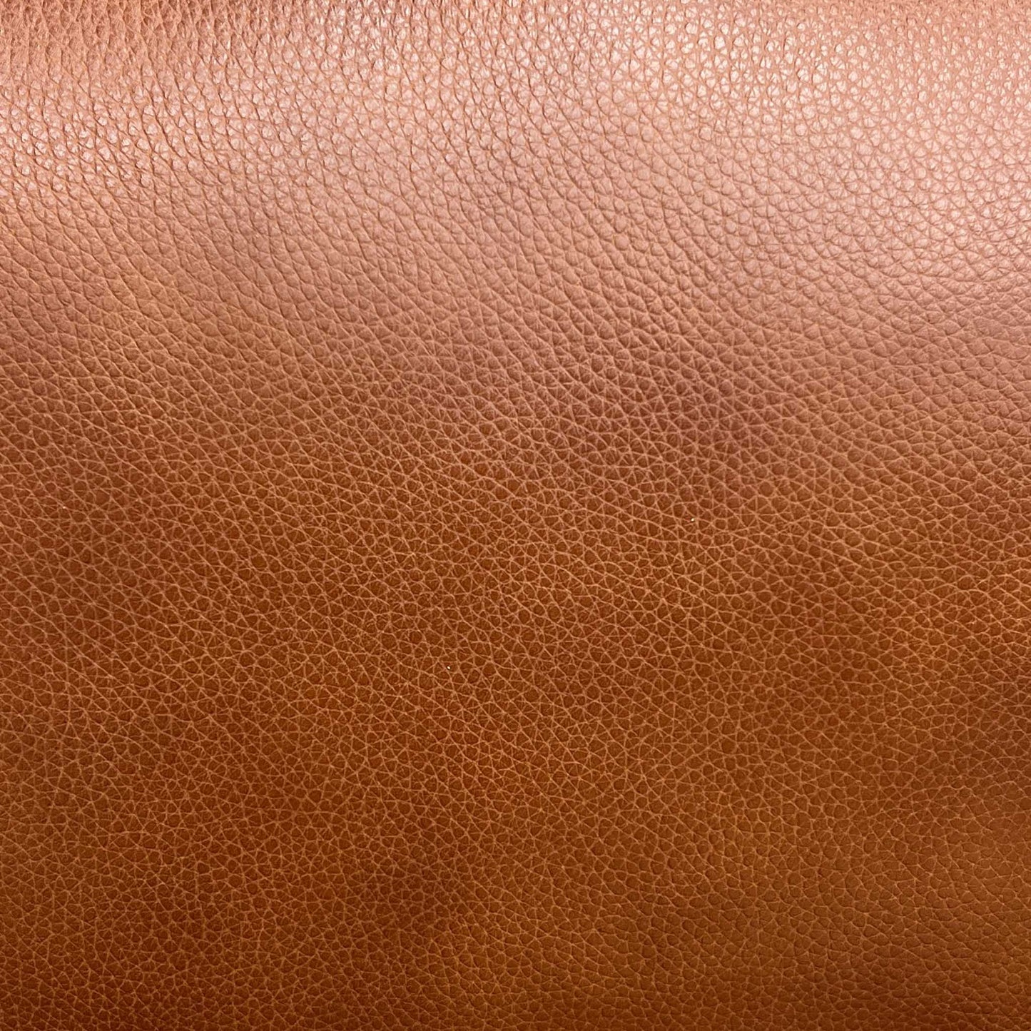 ‘Raven’ Montana Butterscotch Brown Cat-60/07 Leather Static 2 Seater Sofa
