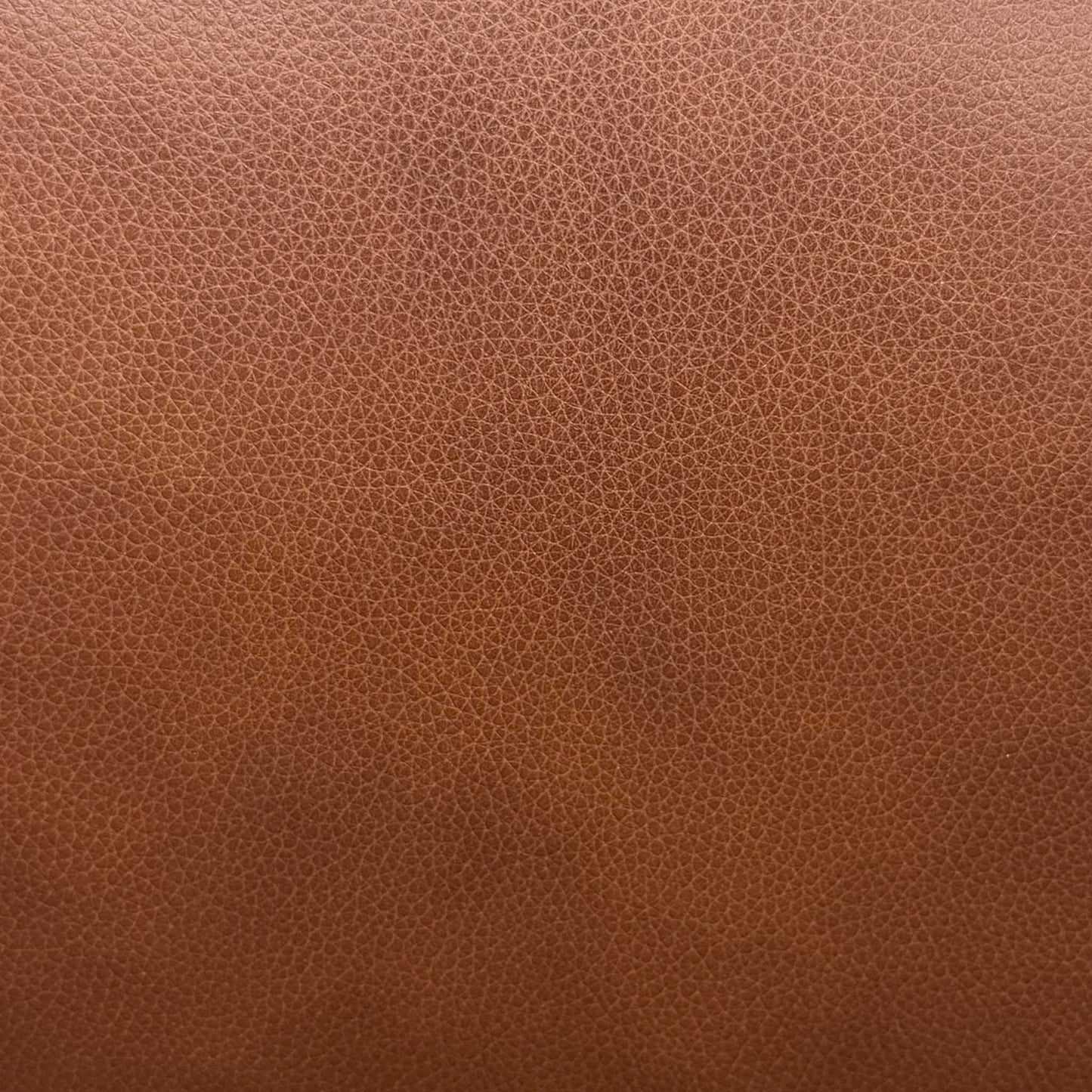 ‘Aero’ Butterscotch Cat-60_07 Brown Leather 2 Seater Sofa – view 6