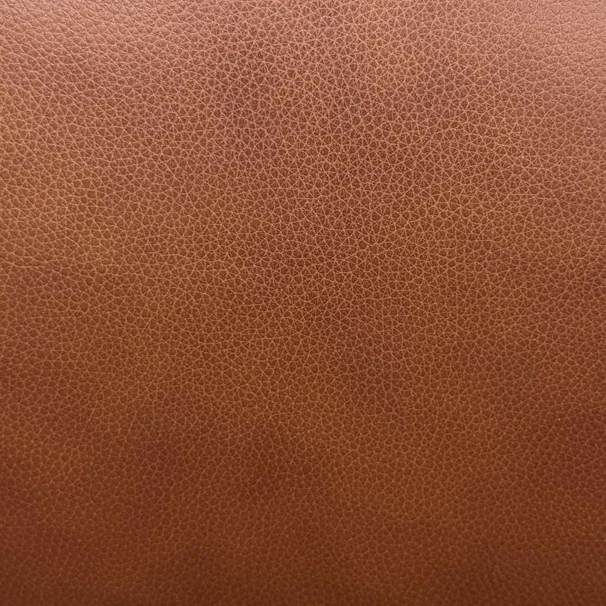 ‘Aero’ Butterscotch Cat-60_07 Brown Leather 2 Seater Sofa – view 6