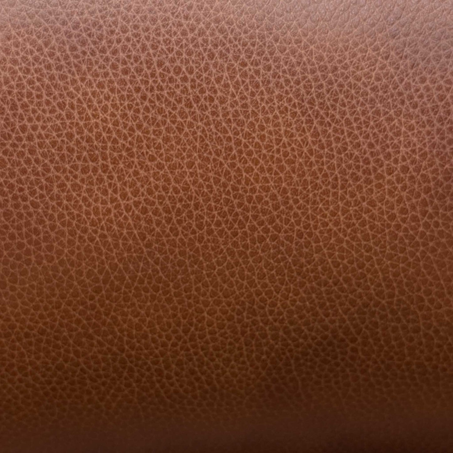 ‘Aero’ Butterscotch Cat-60_07 Brown Leather 2 Seater Power Recliner Sofa with Power Headrests and Heated Seats