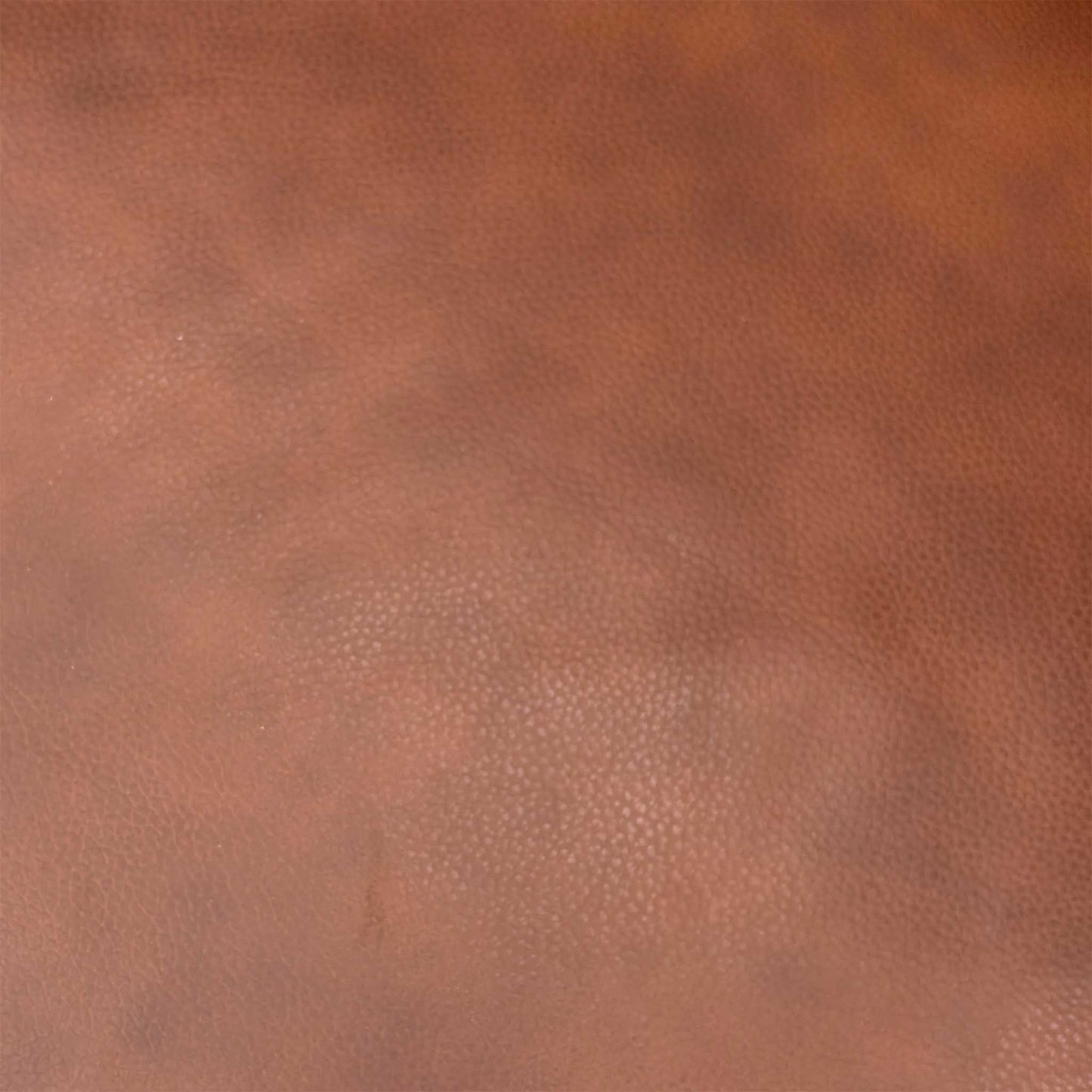 ‘Gisella’ Cat-60_07 Butterscotch Brown Leather 2 Seater Sofa