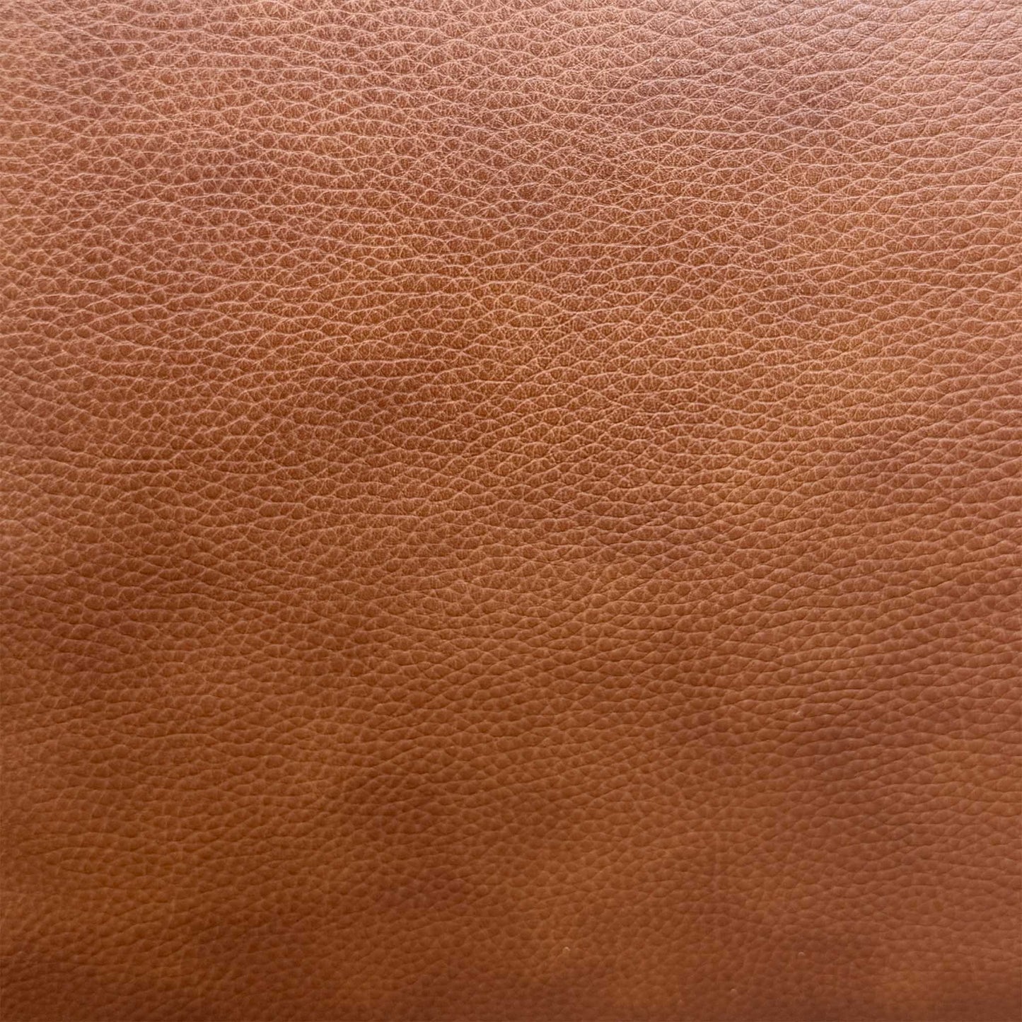 ‘Gisella’ Cat-60_07 Butterscotch Brown Leather 2 Seater Power Recliner Sofa with Power Headrests