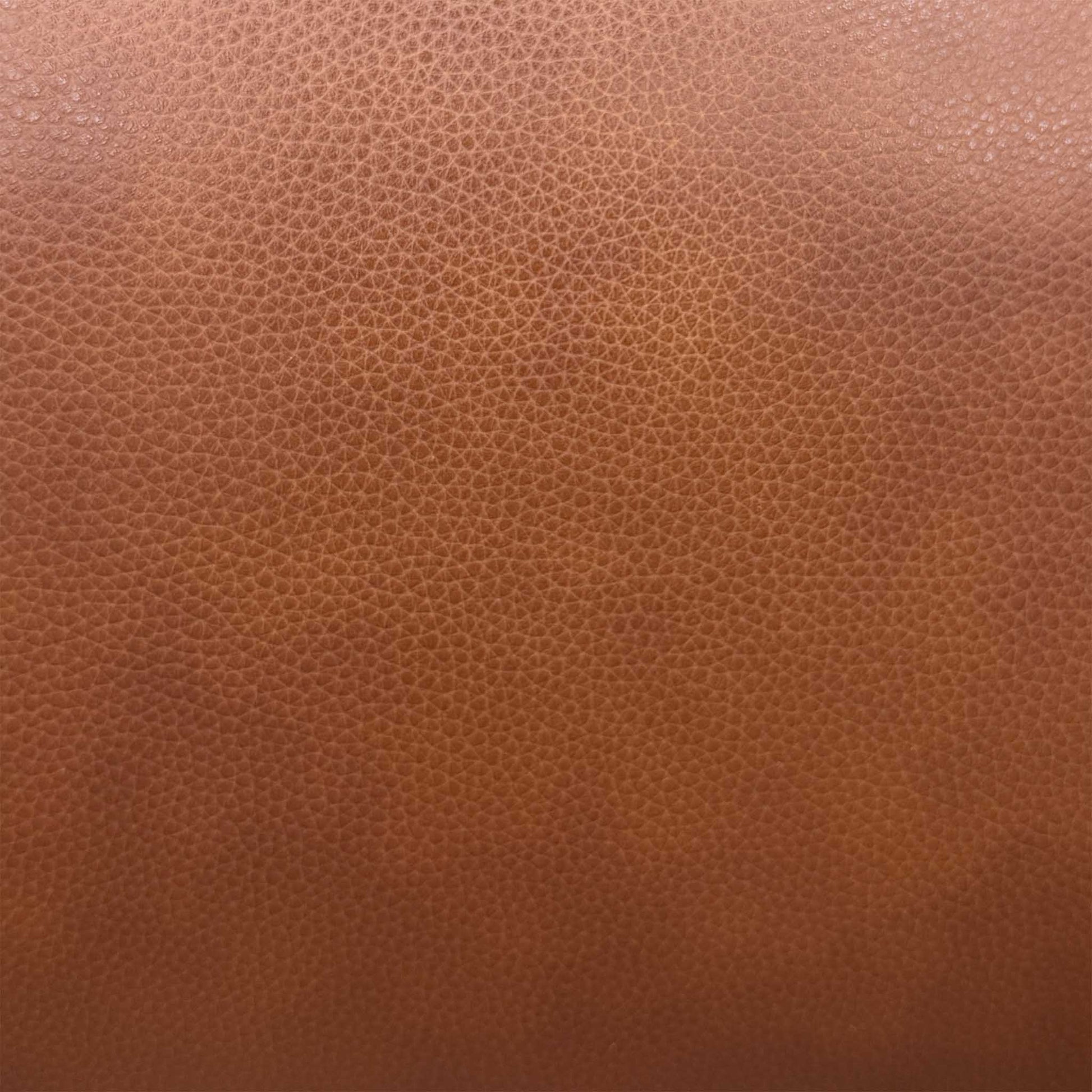 ‘Raven’ Montana Butterscotch Cat-60_07 Brown Leather 2 Seater Power Recliner Sofa – view 6