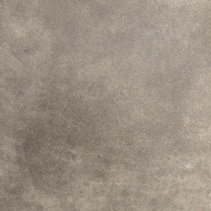 ‘Warrior’ Taupe Fabric Pair of Standard Dining chairs