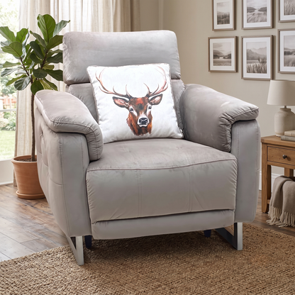 ‘Moet’ 51014 Opulence Cedar Fabric Power Recliner Chair with Telescopic Headrests Furniture Village