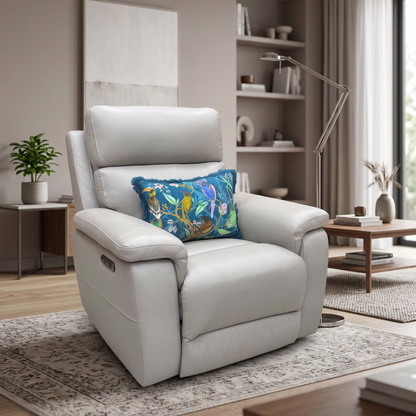 ‘Raven’ Oslo Light Grey Cat-40/27 Leather Power Recliner Chair – view 2