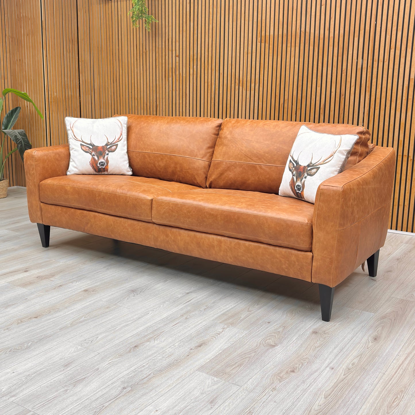 Digital product image, clean layout.