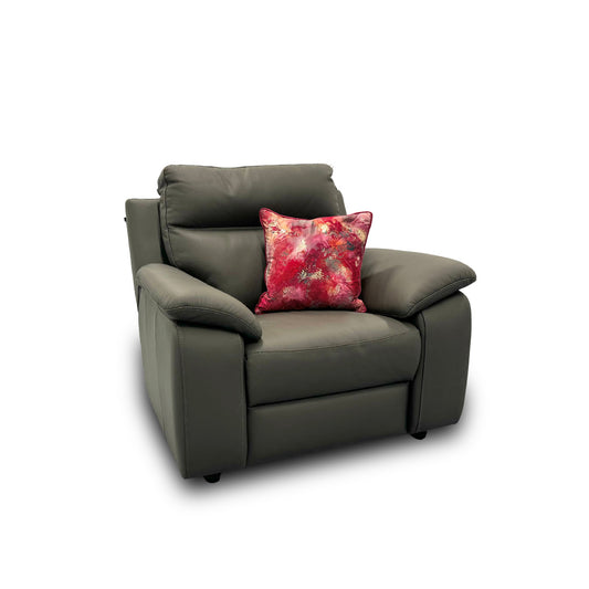 Nicoletti ‘Pepino’ 327 Torello Grigio Scuro Leather Armchair