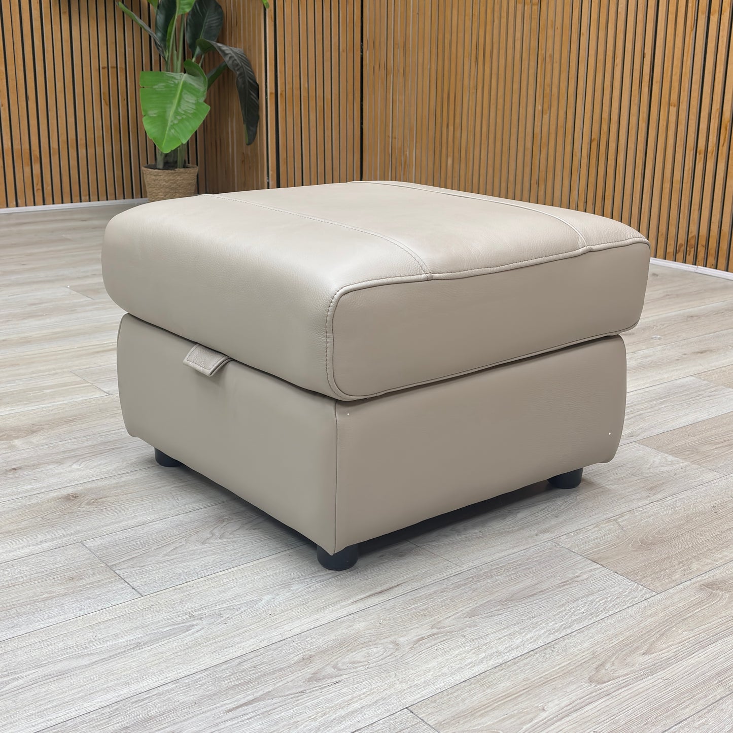 'Sloane' Cat-40/08 Oyster Leather Storage Footstool