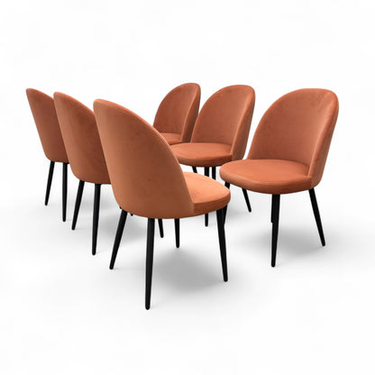 'Gabi' Coral Velvet Dining Chair - Set of 6