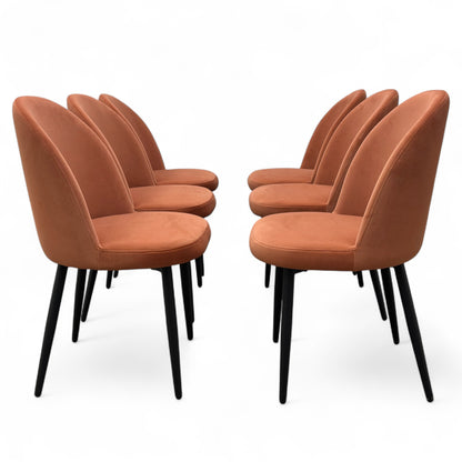 'Gabi' Coral Velvet Dining Chair - Set of 6