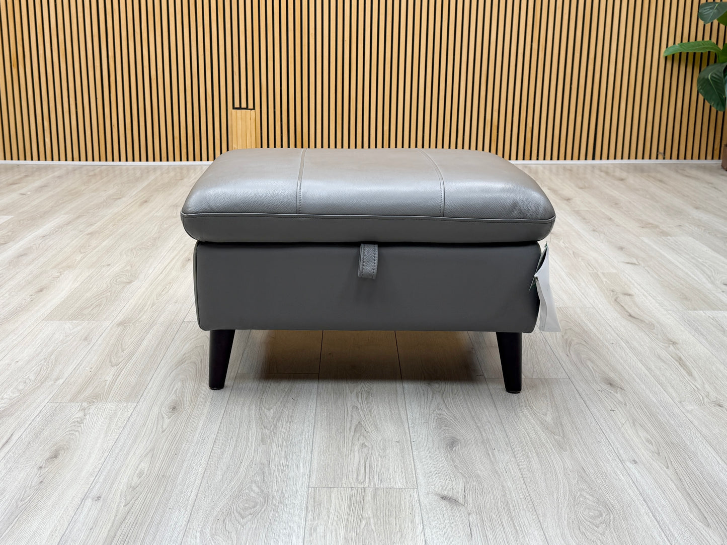 'Winner' Oslo Cat-40-15 Elephant Leather Storage Footstool