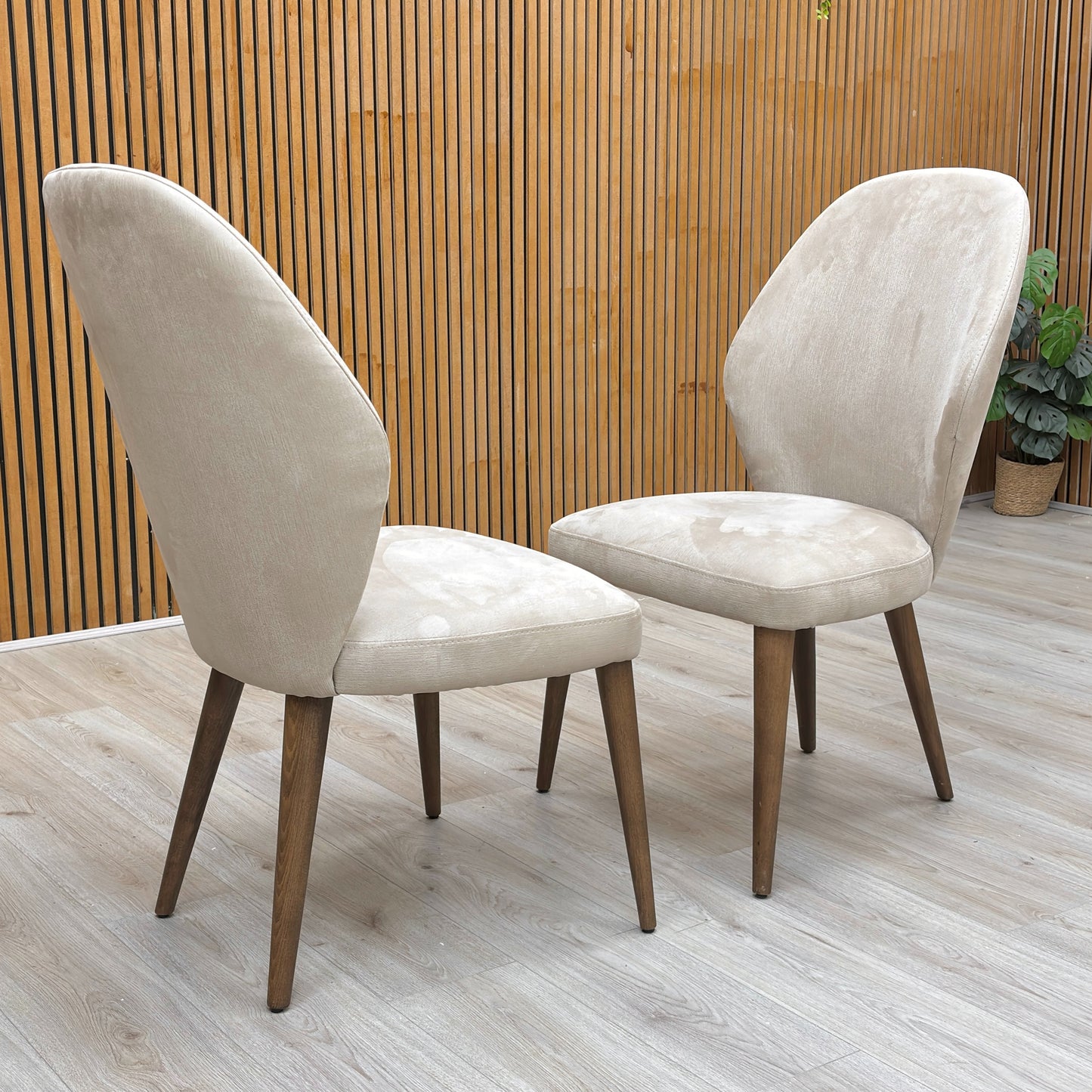Lifestyle shot of the satin taupe Emperor chairs in a modern, highlighting the elegant curved backrest and padded seat.