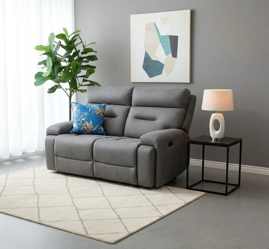 Gray sofa with a blue pillow in a living room setting with a lamp and plant.