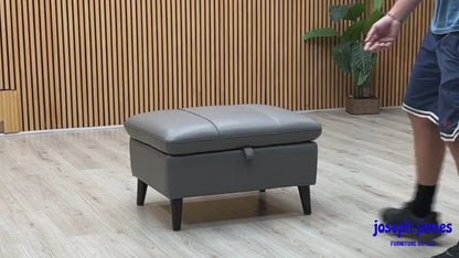 'Winner' Oslo Cat-40-15 Elephant Leather Storage Footstool