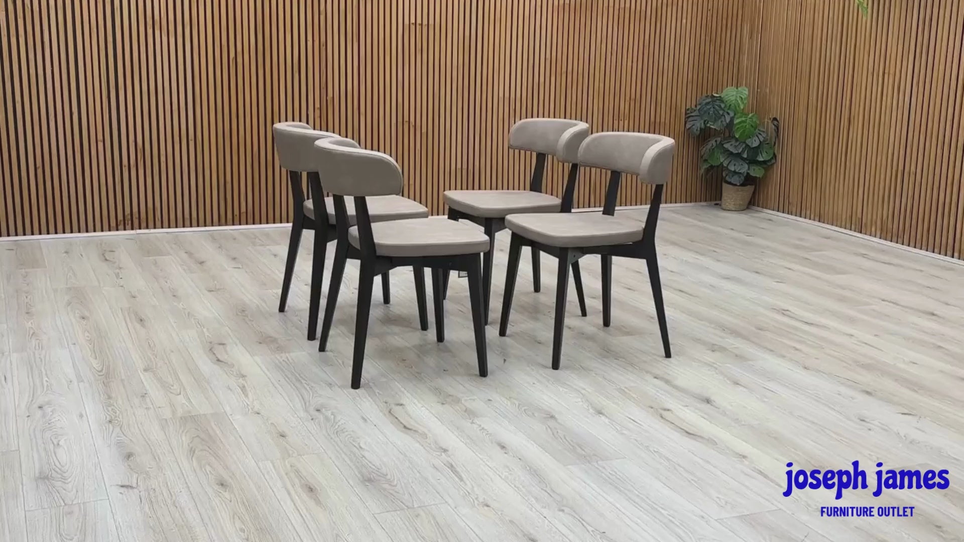 Video Of ‘Connubia Siren S0A’ contemporary dining chairs, showing a matching set of 4 individual chairs featuring a sleek Graphite wooden frame and seats upholstered in Vintage Desert Taupe faux leather.