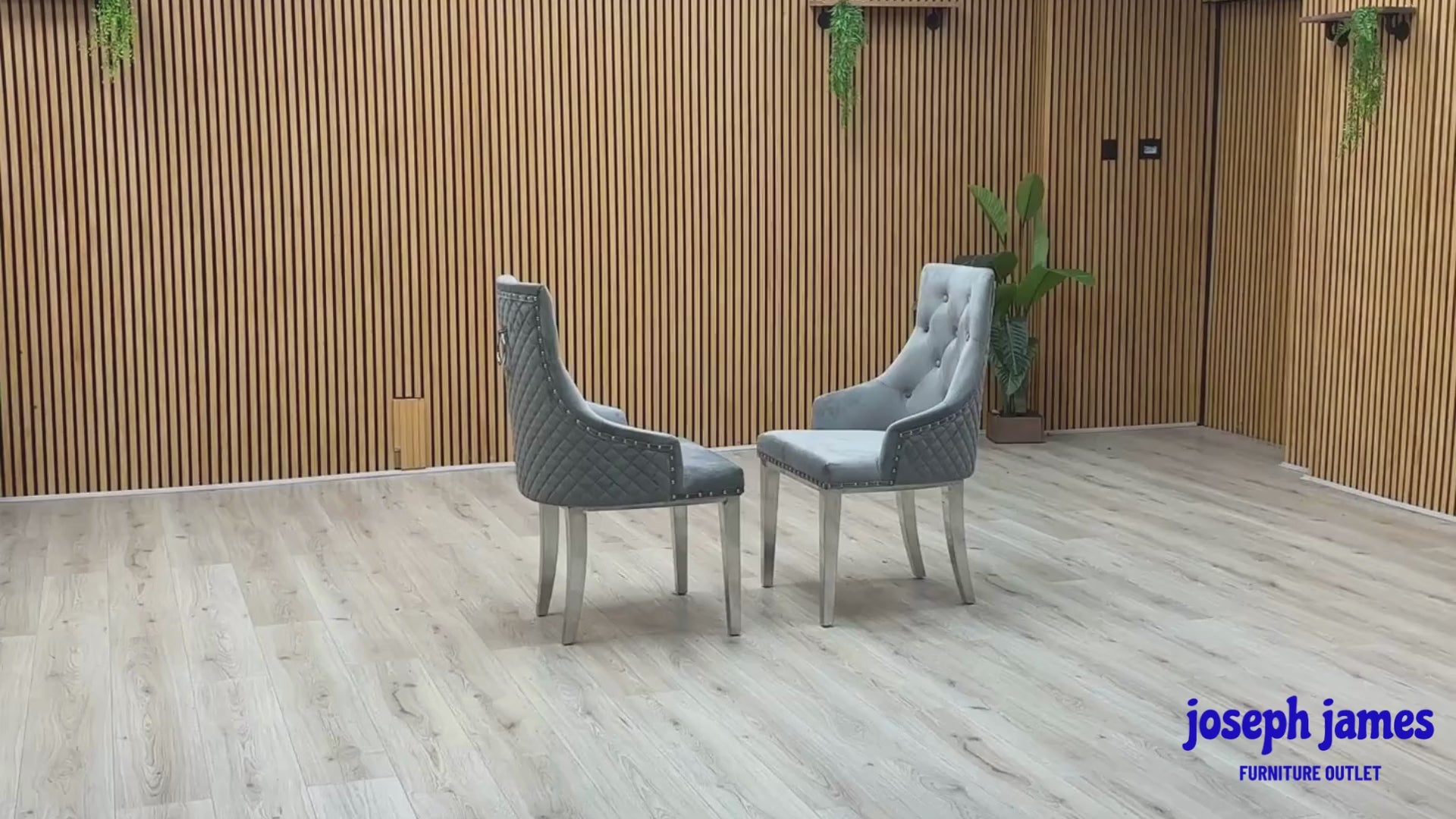 Video Of ‘Dolce’ contemporary dining chairs, showing a matching set of 2 individual chairs beautifully upholstered in a luxurious, soft-touch grey velvet fabric with an elegant button-back design.