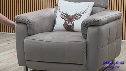 ‘Moet’ 51014 Opulence Cedar Fabric Power Recliner Chair with Telescopic Headrests