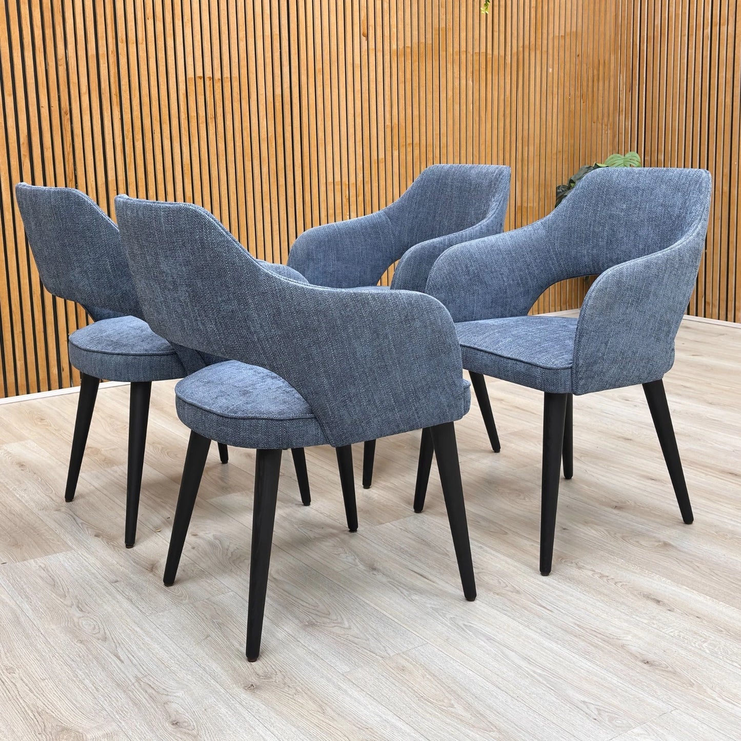 Stylized lifestyle shot of the navy blue Manu dining chairs, highlighting the contemporary curved backrest.